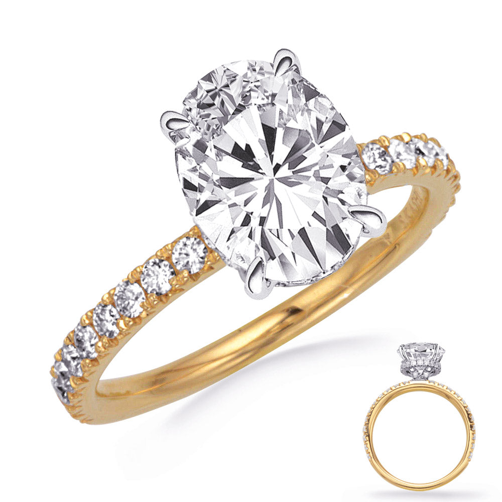 This Engagement Ring  is available in 14K Yellow & White Gold. There are a total of 48 stones. There are Rounds with a total carat weight of 0.55 set in a Micro Prong setting.