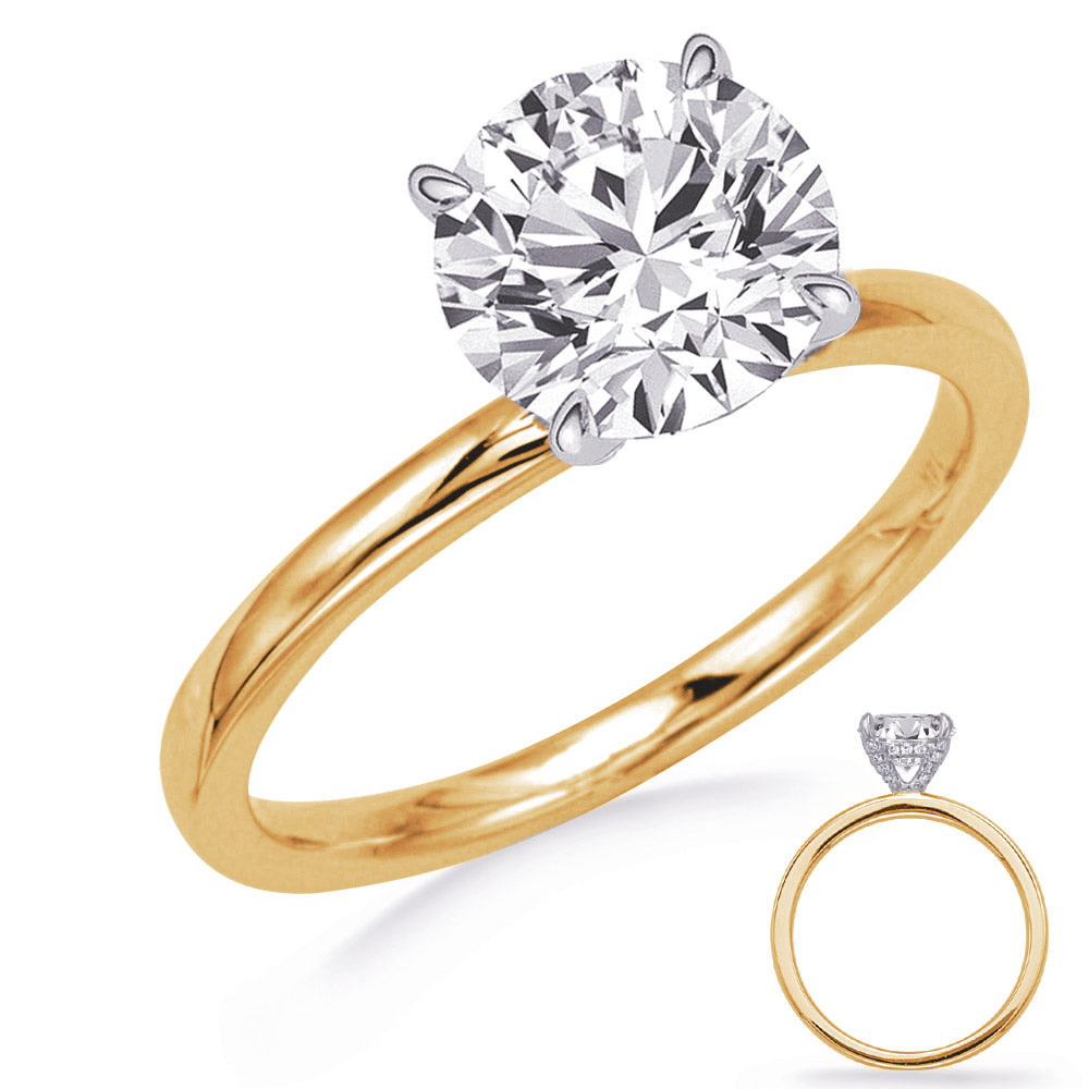 This Engagement Ring  is available in 14K Yellow & White Gold. There are a total of 36 stones. There are Rounds with a total carat weight of 0.17 set in a Micro Prong setting.