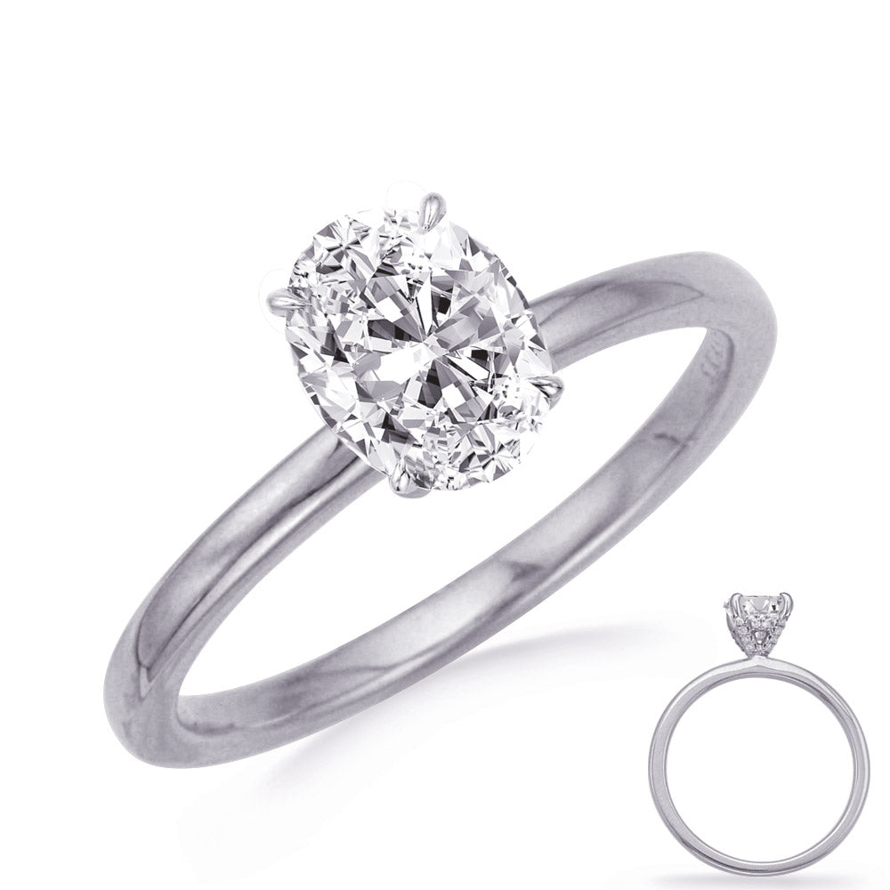 This Engagement Ring  is available in 14K White Gold. There are a total of 30 stones. There are Rounds with a total carat weight of 0.09 set in a Micro Prong setting.