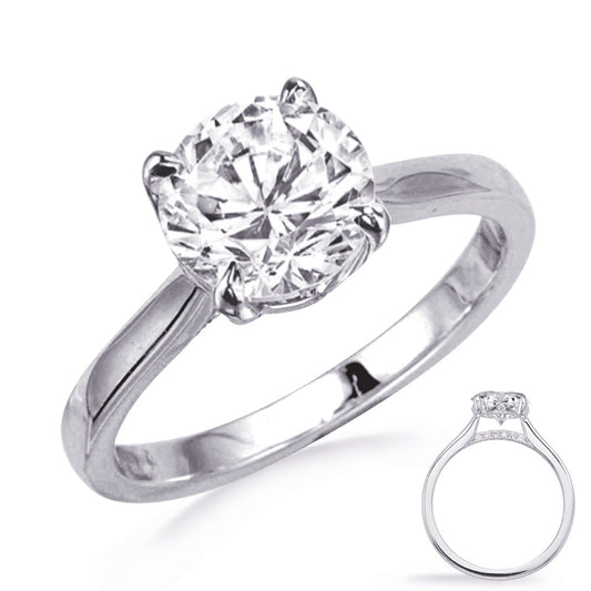 This Engagement Ring  is available in 14K White Gold. There are a total of 14 stones. There are Rounds with a total carat weight of 0.06 set in a Micro Pave setting.