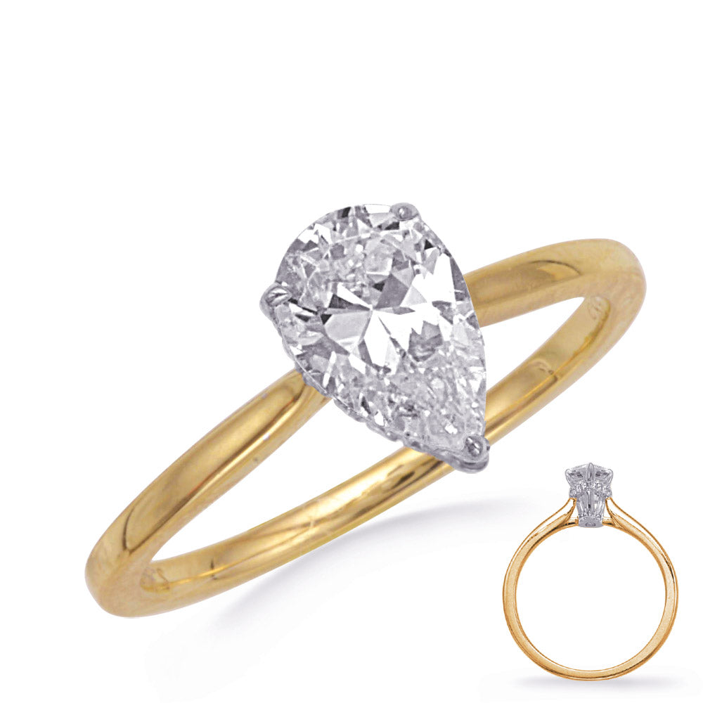 This Engagement Ring  is available in 14K Yellow & White Gold. There are a total of 32 stones. There are Rounds with a total carat weight of 0.16 set in a Micro Prong setting.