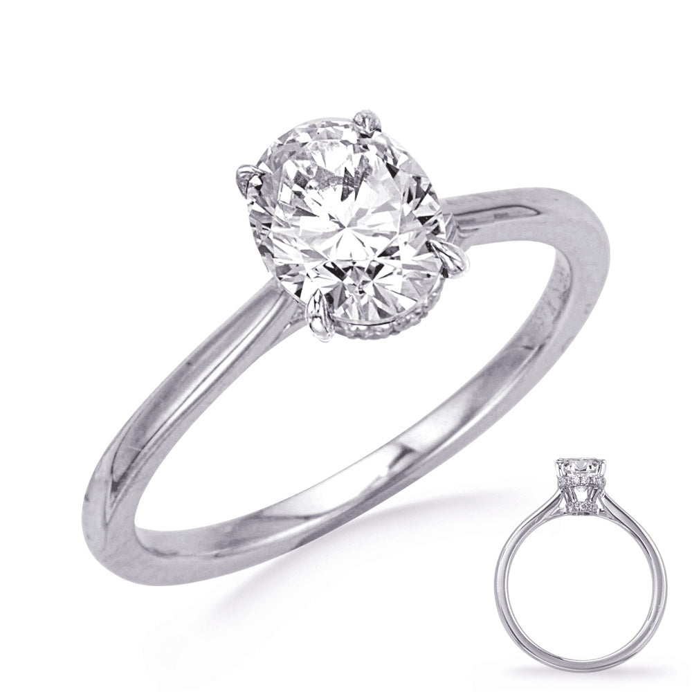 This Engagement Ring  is available in 14K White Gold. There are a total of 34 stones. There are Rounds with a total carat weight of 0.2 set in a Micro Prong setting.