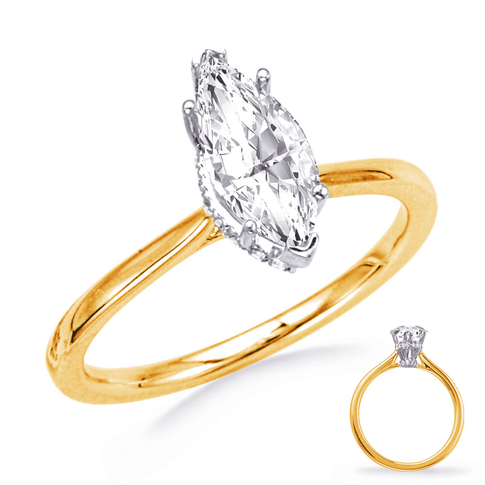 This Engagement Ring  is available in 14K Yellow & White Gold. There are a total of 34 stones. There are Rounds with a total carat weight of 0.18 set in a Micro Prong setting.