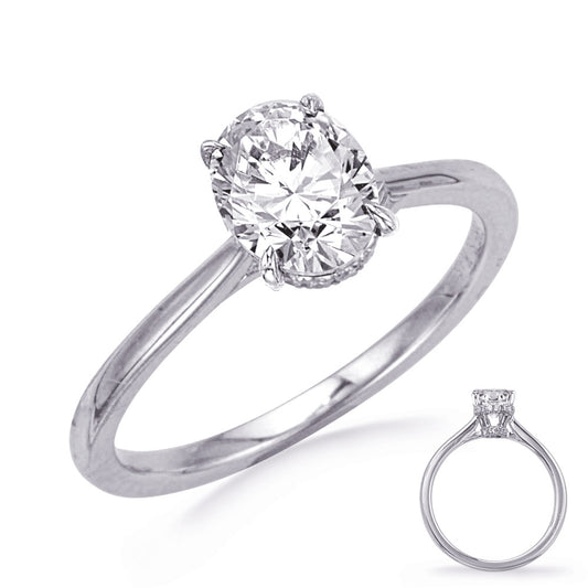 This Engagement Ring  is available in 14K White Gold. There are a total of 28 stones. There are Rounds with a total carat weight of 0.13 set in a Micro Prong setting.
