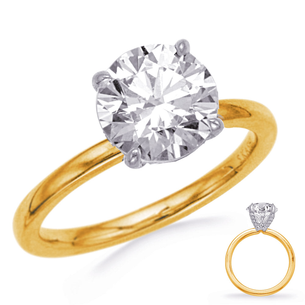 This Engagement Ring  is available in 14K Yellow & White Gold. There are a total of 22 stones. There are Rounds with a total carat weight of 0.08 set in a Micro Prong setting.