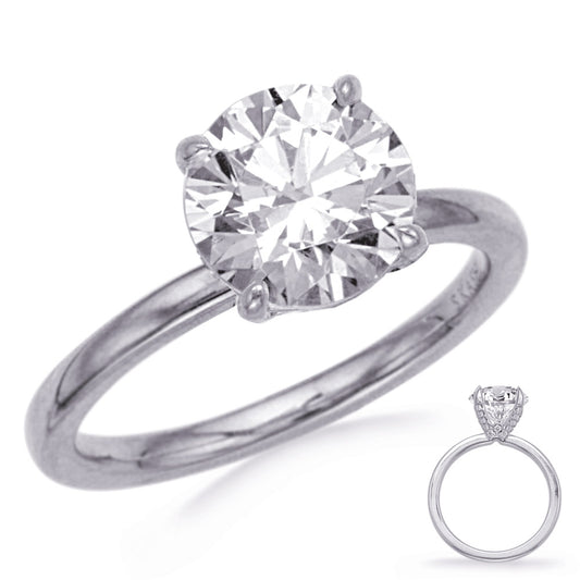 This Engagement Ring  is available in 14K White Gold. There are a total of 22 stones. There are Rounds with a total carat weight of 0.09 set in a Micro Prong setting.