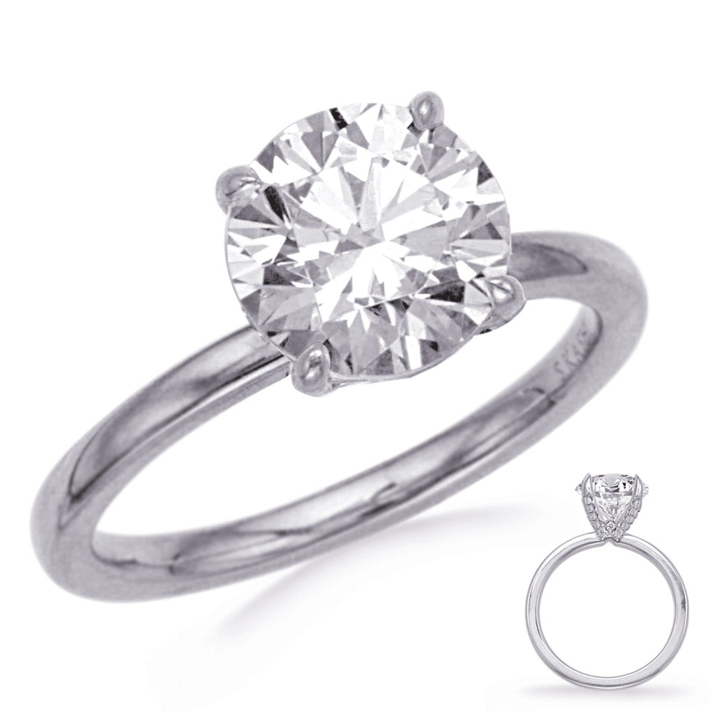 This Engagement Ring  is available in 14K White Gold. There are a total of 22 stones. There are Rounds with a total carat weight of 0.09 set in a Micro Prong setting.