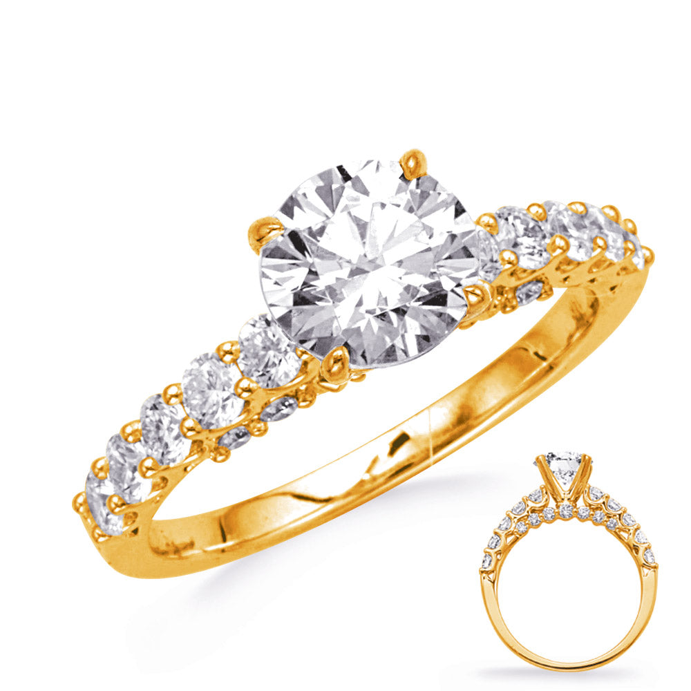This Engagement Ring  is available in 14K Yellow Gold. There are a total of 24 stones. There are Rounds with a total carat weight of 0.75 set in a Micro Prong setting.
