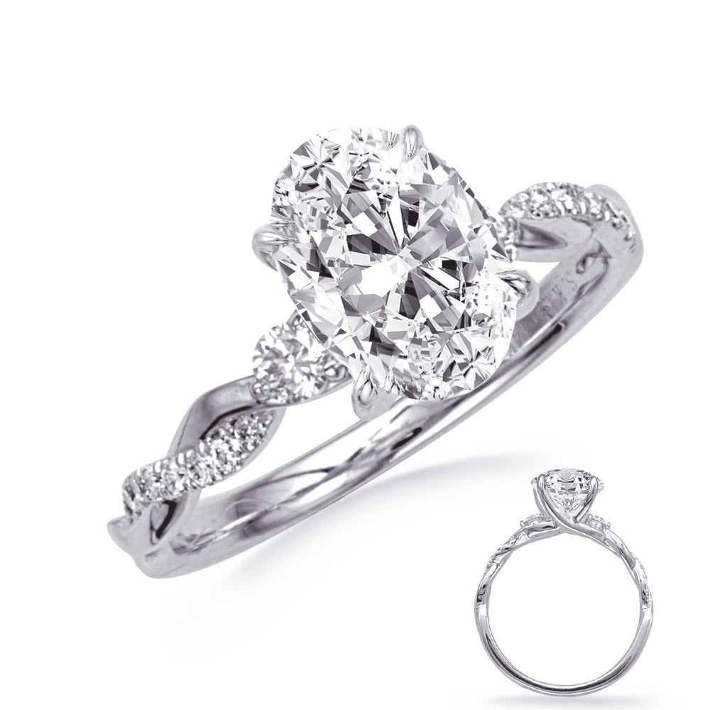 This Engagement Ring  is available in 14K White Gold. There are a total of 18 stones. There are Rounds with a total carat weight of 0.18 set in a Micro Prong setting.