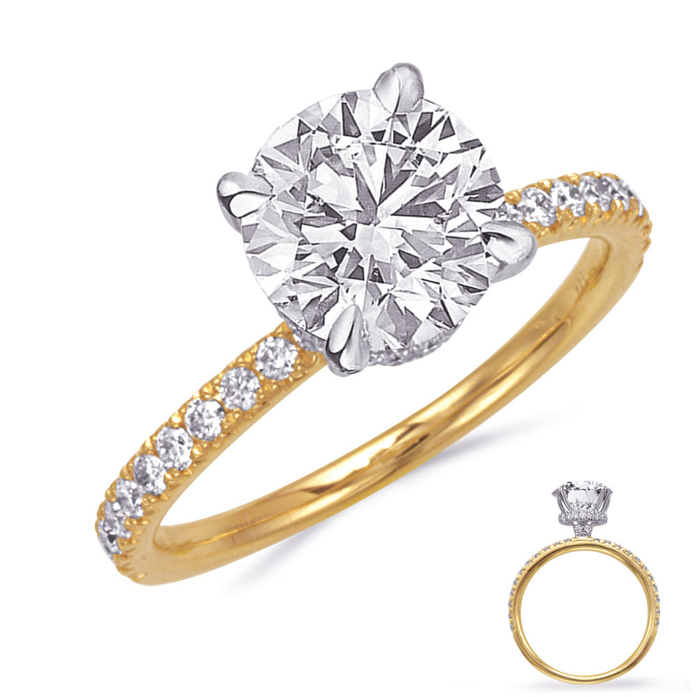 This Engagement Ring  is available in 14K Yellow & White Gold. There are a total of 44 stones. There are Rounds with a total carat weight of 0.38 set in a Micro Prong setting.