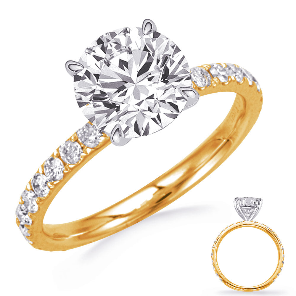 This Engagement Ring  is available in 14K Yellow & White Gold. There are a total of 24 stones. There are Rounds with a total carat weight of 0.52 set in a Prong Set setting.