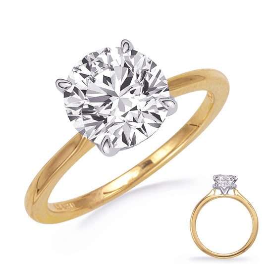 This Engagement Ring  is available in 14K Yellow & White Gold. There are a total of 18 stones. There are Rounds with a total carat weight of 0.07 set in a  setting.
