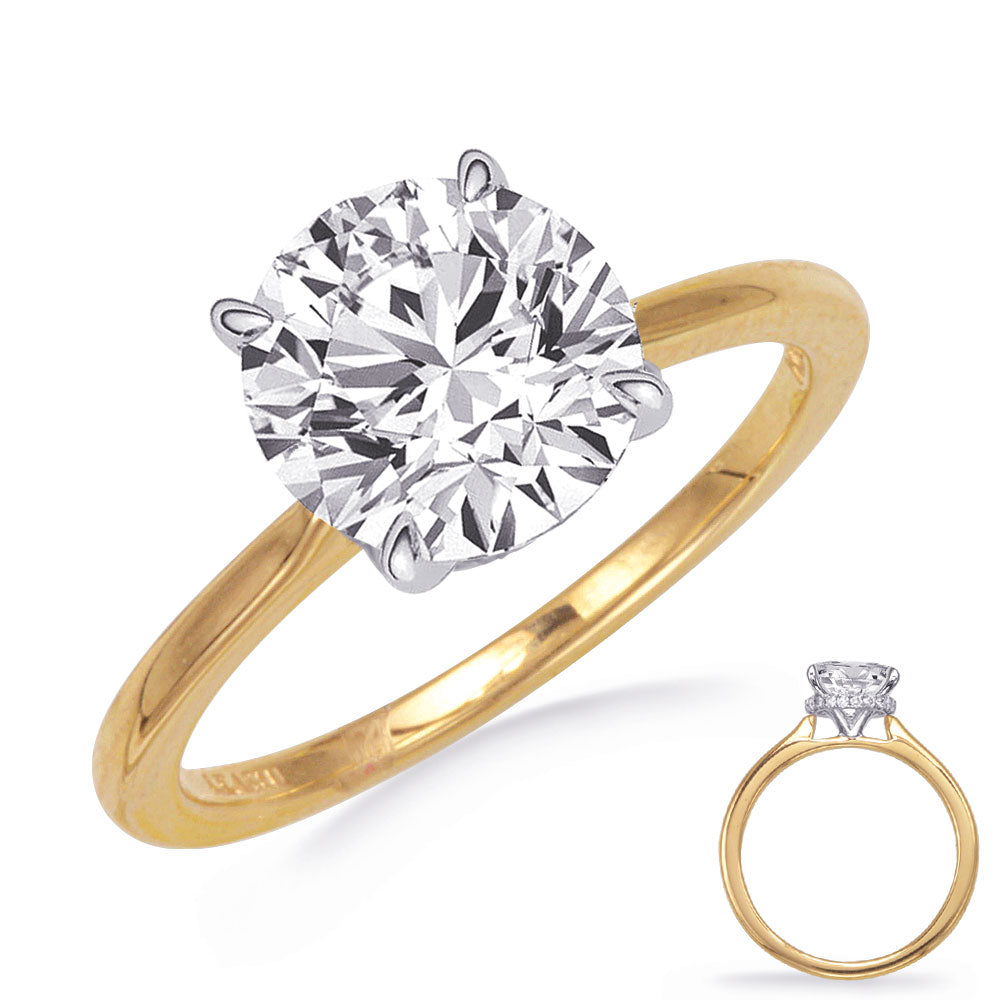 This Engagement Ring  is available in 14K Yellow & White Gold. There are a total of 18 stones. There are Rounds with a total carat weight of 0.07 set in a  setting.
