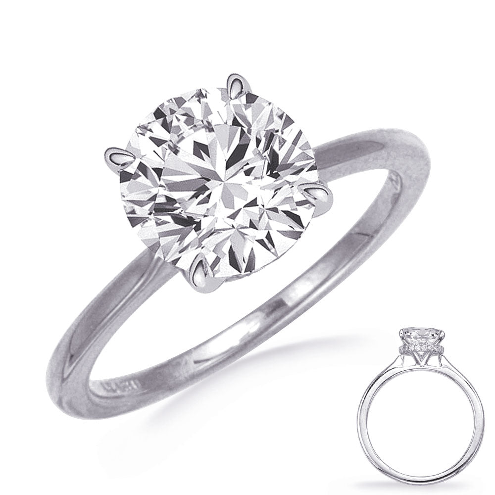 This Engagement Ring  is available in 14K White Gold. There are a total of 21 stones. There are Rounds with a total carat weight of 0.08 set in a  setting.