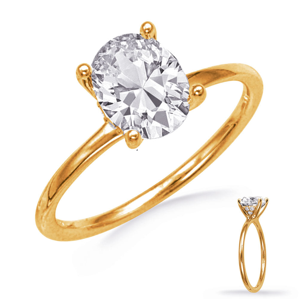 This Engagement Ring  is available in 14K Yellow Gold. There are a total of 6 stones. There are Rounds with a total carat weight of 0.05 set in a  setting.