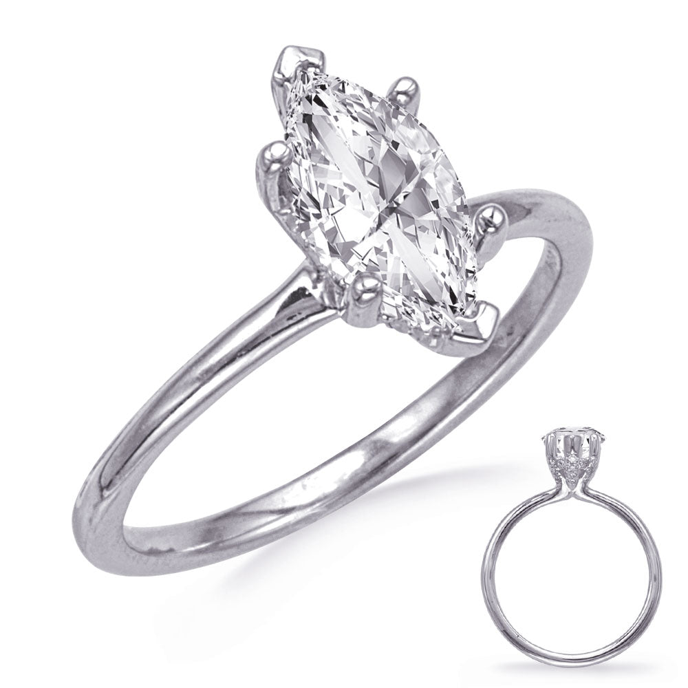This Engagement Ring  is available in 14K White Gold. There are a total of 30 stones. There are Rounds with a total carat weight of 0.12 set in a  setting.