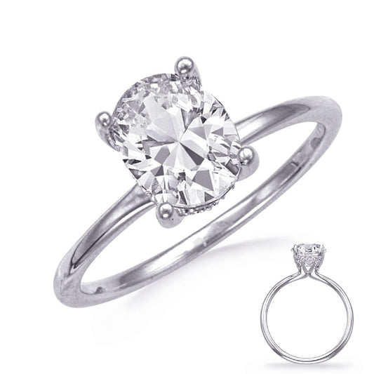 This Engagement Ring  is available in 14K White Gold. There are a total of 24 stones. There are Rounds with a total carat weight of 0.1 set in a  setting.