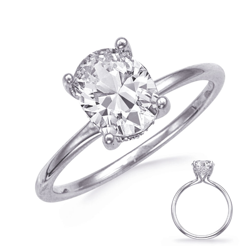 This Engagement Ring  is available in 14K White Gold. There are a total of 24 stones. There are Rounds with a total carat weight of 0.1 set in a  setting.