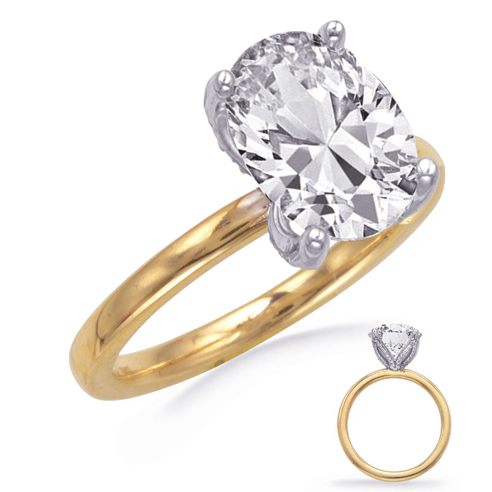 This Engagement Ring  is available in 14K Yellow & White Gold. There are a total of 64 stones. There are Rounds with a total carat weight of 0.18 set in a  setting.