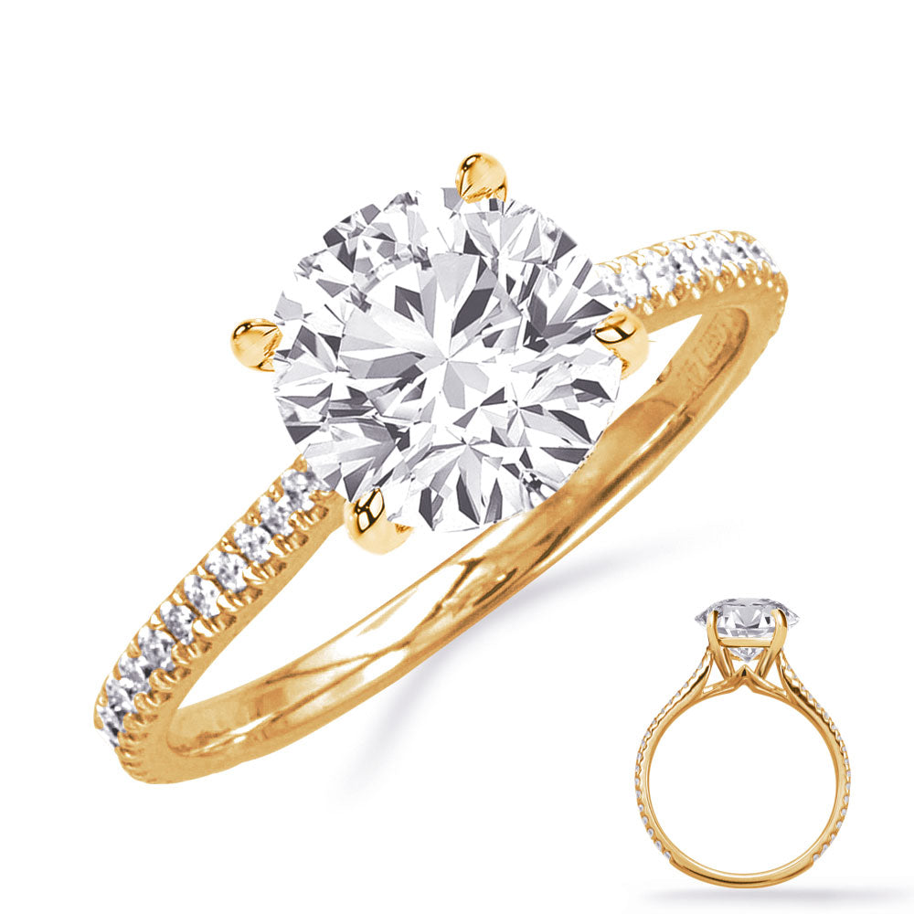 This Engagement Ring  is available in 14K Yellow Gold. There are a total of 38 stones. There are Rounds with a total carat weight of 0.19 set in a Micro Prong setting.