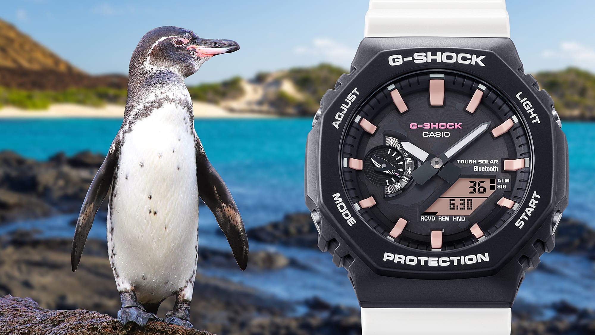 G-Shock ANALOG-DIGITAL GA-B2100CD-1A7 – T-BIRD JEWELS JEWELRY STORE