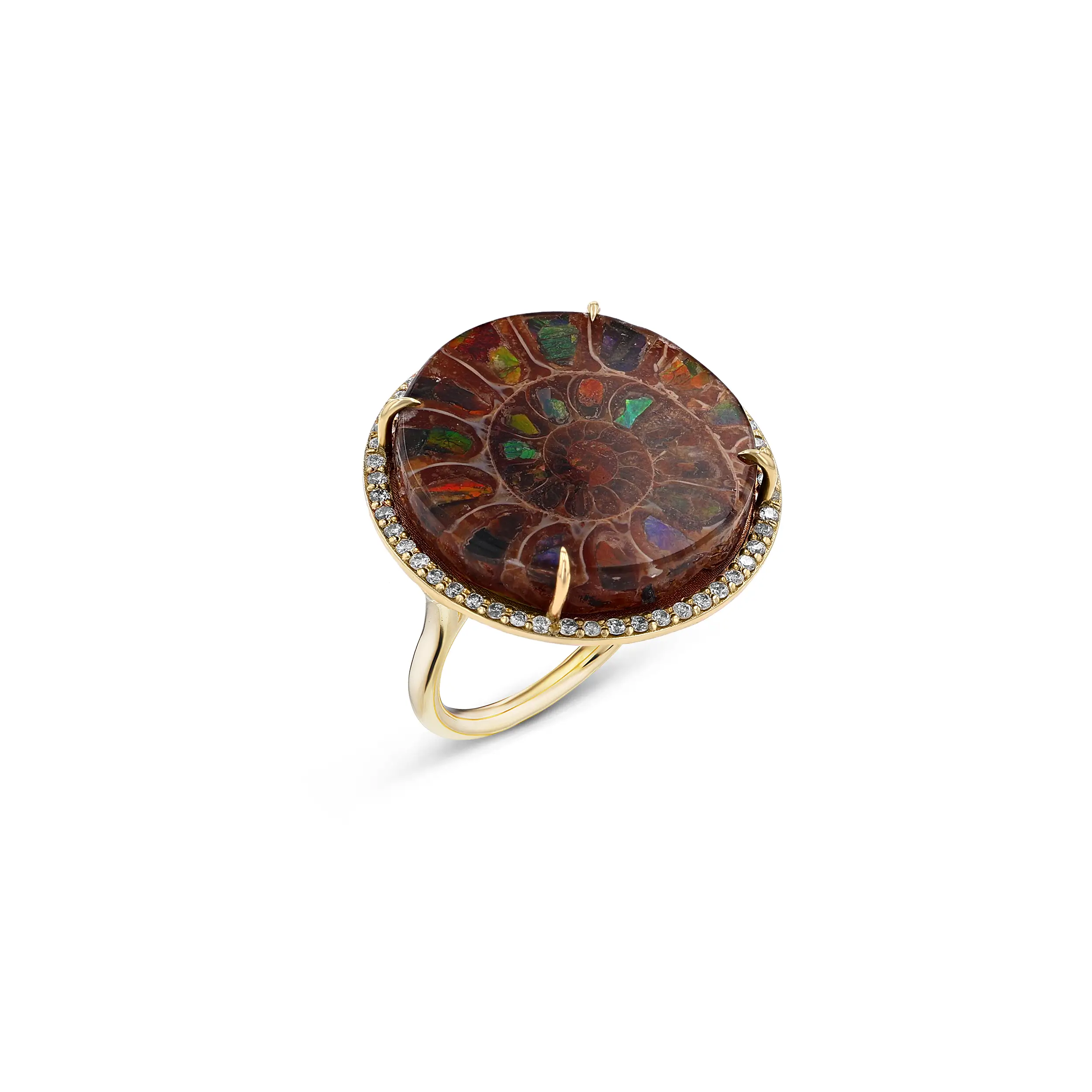 14k Round Ammonite & Diamond Cathedral Ring - One of a Kind