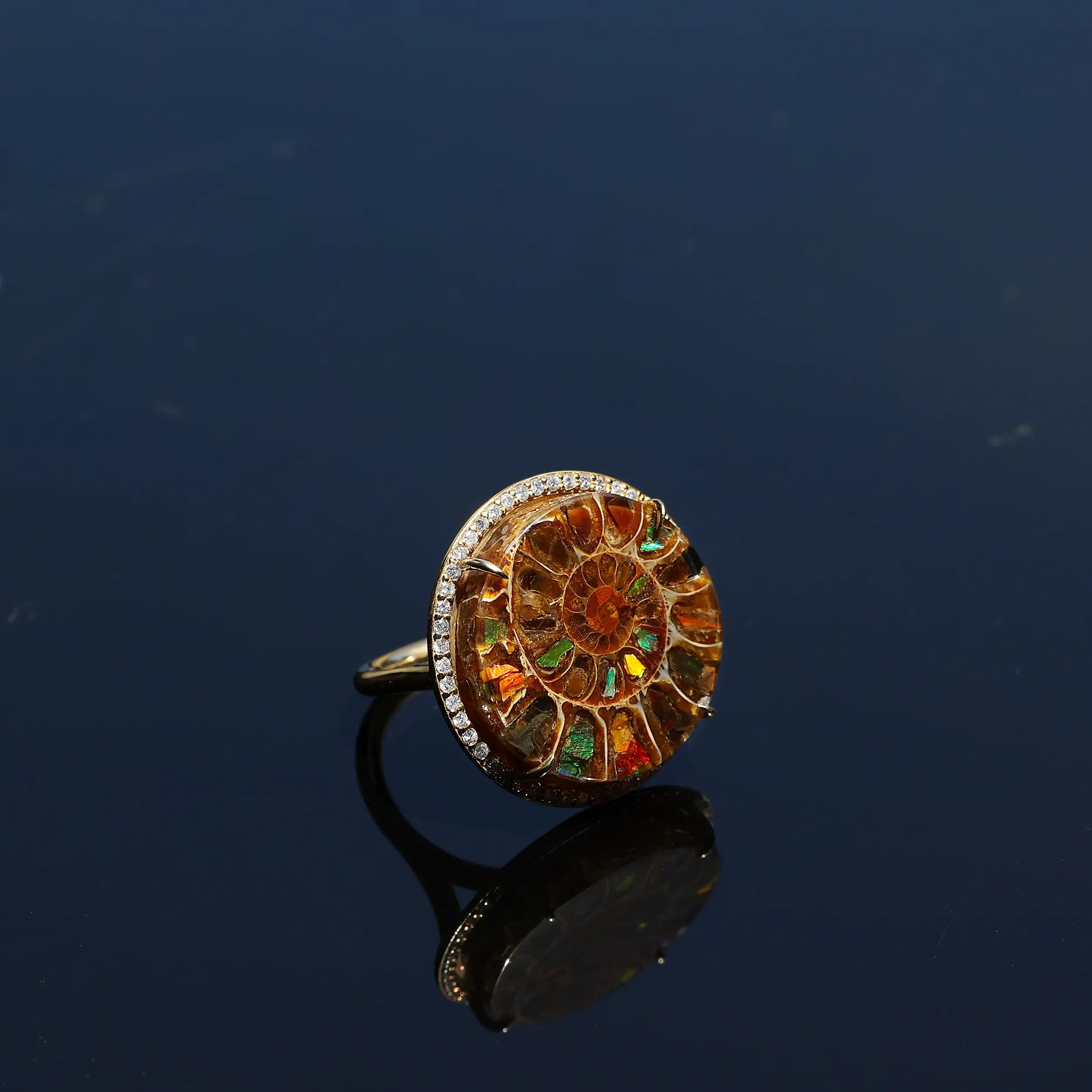 14k Round Ammonite & Diamond Cathedral Ring - One of a Kind